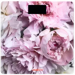 სასწორი Ardesto Scales SCB-965PEONIESსასწორი Ardesto Scales SCB-965PEONIESსასწორი Ardesto Scales SCB-965PEONIES