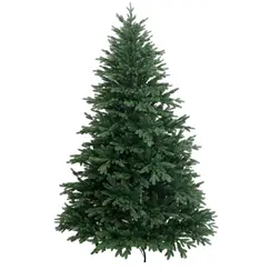 ნაძვის ხე კალიფორნია 240 სმ (KS-240)ნაძვის ხე კალიფორნია 240 სმ (KS-240)ნაძვის ხე კალიფორნია 240 სმ (KS-240)