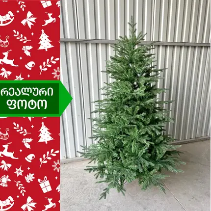 ნაძვის ხე ტალინი 195 სმ (DS-195), 7 imageნაძვის ხე ტალინი 195 სმ (DS-195), 7 imageნაძვის ხე ტალინი 195 სმ (DS-195), 7 image