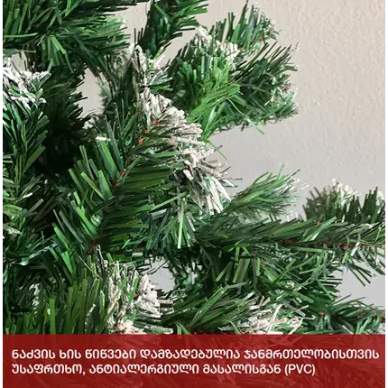 ნაძვის ხე ბერლინი 210სმ (NS-210), 3 imageნაძვის ხე ბერლინი 210სმ (NS-210), 3 imageნაძვის ხე ბერლინი 210სმ (NS-210), 3 image