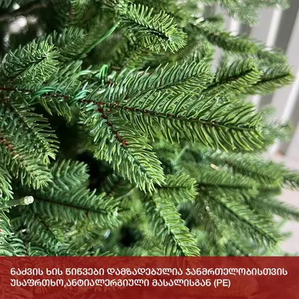 ნაძვის ხე კალიფორნია LED 240 სმ (KS-240), 7 imageნაძვის ხე კალიფორნია LED 240 სმ (KS-240), 7 imageნაძვის ხე კალიფორნია LED 240 სმ (KS-240), 7 image