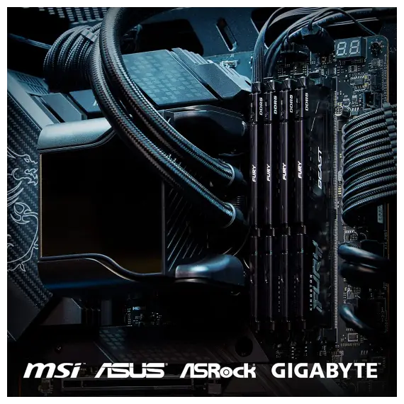 ოპერატიული მეხსიერება Kingston KF552C40BB-8, 2 imageოპერატიული მეხსიერება Kingston KF552C40BB-8, 2 imageოპერატიული მეხსიერება Kingston KF552C40BB-8, 2 image