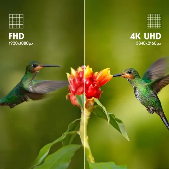 ტელევიზორი Thomson 50UG4S14 LED, 50", 4K UHD, Smart TV, HDMI, USB, LAN, WIFI, BT, Black, 6 imageტელევიზორი Thomson 50UG4S14 LED, 50", 4K UHD, Smart TV, HDMI, USB, LAN, WIFI, BT, Black, 6 imageტელევიზორი Thomson 50UG4S14 LED, 50", 4K UHD, Smart TV, HDMI, USB, LAN, WIFI, BT, Black, 6 image