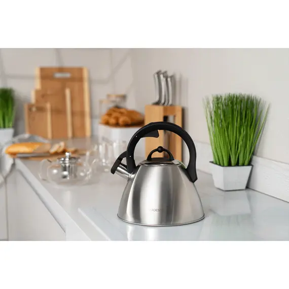 Ardesto Kettle Gemini, 2.5l, stainless steel, 4 imageArdesto Kettle Gemini, 2.5l, stainless steel, 4 imageArdesto Kettle Gemini, 2.5l, stainless steel, 4 image
