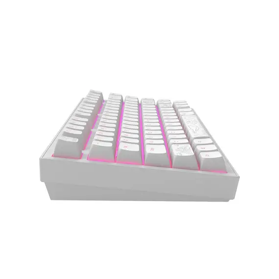 კლავიატურა Dark Project ALU Terra Nostra White - Wired Gaming Keyboard (ANSI), 3 imageკლავიატურა Dark Project ALU Terra Nostra White - Wired Gaming Keyboard (ANSI), 3 imageკლავიატურა Dark Project ALU Terra Nostra White - Wired Gaming Keyboard (ANSI), 3 image
