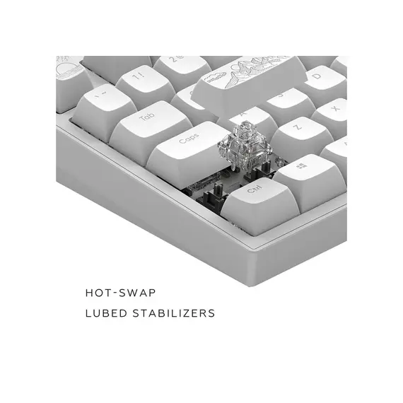 კლავიატურა Dark Project ALU Terra Nostra White - Wired Gaming Keyboard (ANSI), 4 imageკლავიატურა Dark Project ALU Terra Nostra White - Wired Gaming Keyboard (ANSI), 4 imageკლავიატურა Dark Project ALU Terra Nostra White - Wired Gaming Keyboard (ANSI), 4 image