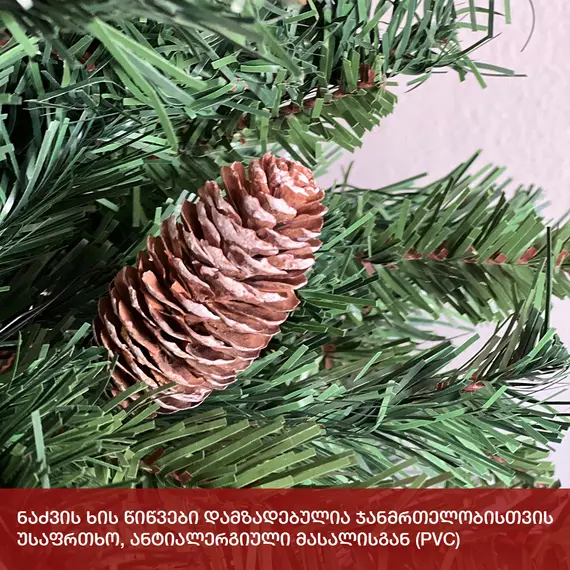 ნაძვის ხე ნორვეგია 210სმ (VC-210), 6 imageნაძვის ხე ნორვეგია 210სმ (VC-210), 6 imageნაძვის ხე ნორვეგია 210სმ (VC-210), 6 image