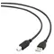 Cable Gembird CCP-USB2-AMBM-10 USB Cable for Printer 3mCable Gembird CCP-USB2-AMBM-10 USB Cable for Printer 3mCable Gembird CCP-USB2-AMBM-10 USB Cable for Printer 3m
