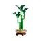 LEGO Constructor Botanicals Lucky Bamboo, 2 imageLEGO Constructor Botanicals Lucky Bamboo, 2 imageLEGO Constructor Botanicals Lucky Bamboo, 2 image