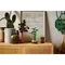 LEGO Constructor Botanicals Lucky Bamboo, 5 imageLEGO Constructor Botanicals Lucky Bamboo, 5 imageLEGO Constructor Botanicals Lucky Bamboo, 5 image