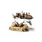 Lego LEGO Star Wars Desert Skiff & Sarlacc Pit, 2 imageLego LEGO Star Wars Desert Skiff & Sarlacc Pit, 2 imageLego LEGO Star Wars Desert Skiff & Sarlacc Pit, 2 image