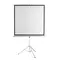 პროექტორის ეკრანი SBOX PSMT-135-2 / 240x240cm - Tripodპროექტორის ეკრანი SBOX PSMT-135-2 / 240x240cm - Tripodპროექტორის ეკრანი SBOX PSMT-135-2 / 240x240cm - Tripod